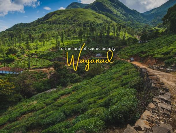 wayanad tourist places all